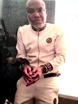 I fled Nigeria to save my life, Nnamdi Kanu tells court
