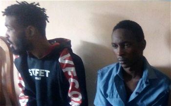 2 arrested for allegedly stealing N70,000 from betting shop in Imo