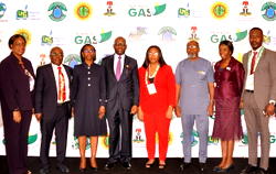 NGA unveils agenda for gas devt, holds consultation with stakeholders