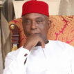 Ned Nwoko blames insecurity on collapse of LG system