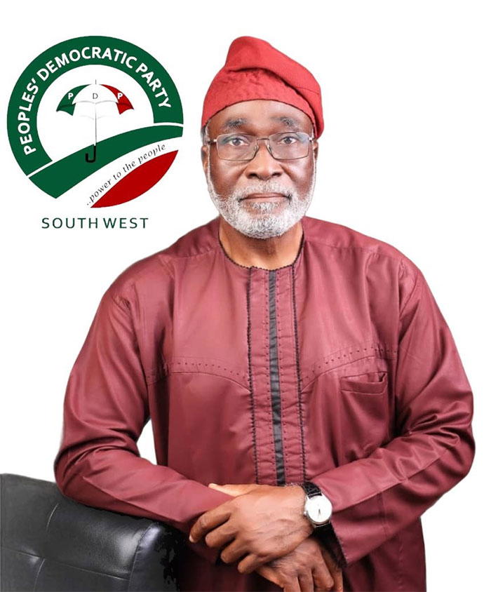 Lagos PDP Chairmanship Judgment Let’s close ranks, Owokoniran appeals