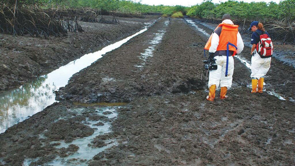 Ogoni Clean-up
