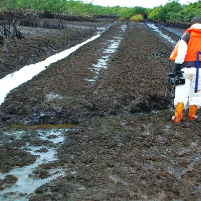 Ogoni Clean-up: We've cleaned up 17 contaminated sites ― FG