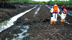 Ogoni cleanup receives $360 million, as BOT/OTF says project conquered
