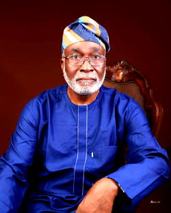 We can’t forget the lessons of June 12, 1993— Owokoniran, South-West PDP scribe