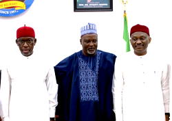 Constitutional Amendment: Okowa recommends devolution of powers to states, councils