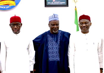 Constitutional Amendment: Okowa recommends devolution of powers to states, councils