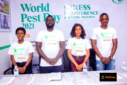 World Pest Control Day: Why Nigerians must take pest control seriously — Expert