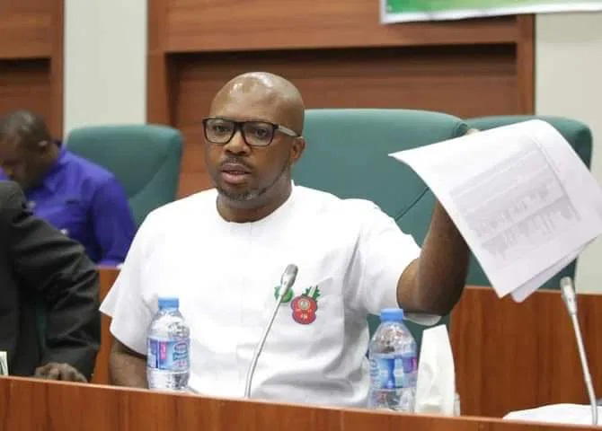Gulak: Security forces killing our people, Imo Rep raises alarm