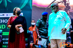 Do away with traditional orientation, Cannabis is a multi-billion naira industry, Akeredolu tells FG