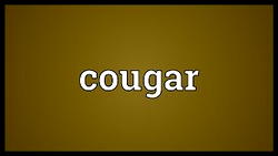 Lusting after a lad could give a cougar a bad name