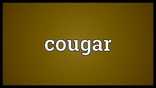 Lusting after a lad could give a cougar a bad name