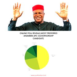 Azuka Okwuosa crushes opposition with inspiring online poll