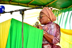 Give our children new values to stop GBV — Kafayat Oyetola