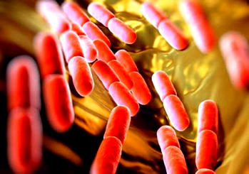 Wife “Explains” Totally Natural Solution to Staph Aureus, STD, UTI and other Stubborn Infections without using Antibiotics