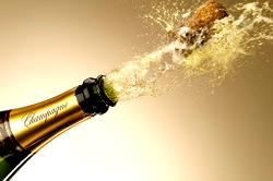 EU disagrees with Russia’s new champagne law