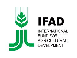 IFAD, FG build capacity of staff on improving financial mgt, procurement
