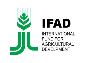 IFAD, FG build capacity of staff on improving financial mgt, procurement