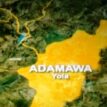 2022 Budget: Adamawa proposes N142 bln – Commissioner