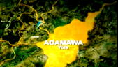 Confusion, controversy trail killing of 23 in Adamawa