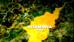 Adamawa Polls: The people will decide, vote for me – Fintiri