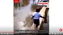 BOLD AS A LION: Boy fearlessly walks on narrow wooden bridge (VIDEO)