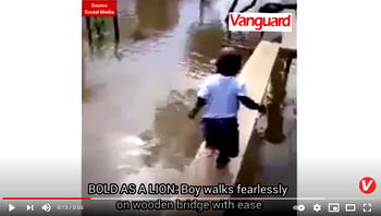 BOLD AS A LION: Boy fearlessly walks on narrow wooden bridge (VIDEO)