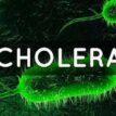 Ogun moves to curtail cholera outbreak