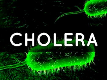 CHOLERA: Nigeria records 583 deaths from 23,550 cases in 32 states