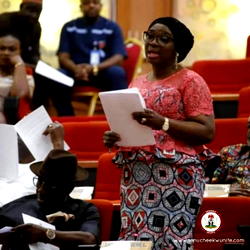 E-transmission of election results: Why I was absent at voting ― Sen Ekwunife