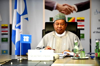 OPEC’s Barkindo, others seek friendly environment to attract  investment