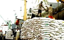 47 fertiliser blending plants now operational in Nigeria — NSIA