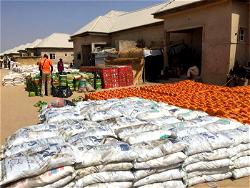 NEMA distributes beans, rice, oil, salt to Borno IDPs