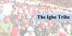Presidency 2023: What Igbo must do to get it