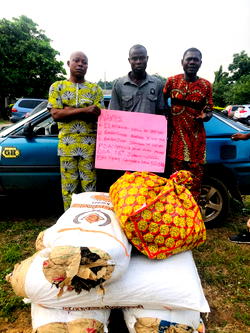NDLEA nabs NURTW Chairman, 3 others for drug trafficking in Ondo, Benue