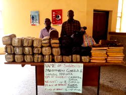 NDLEA arrests Anambra Drugs Kingpin, recovers 548,000 Tramadol tablets