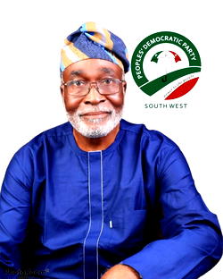 Lagos LG Polls: Time to stop bad governance, touch grassroots— Owokoniran, South-West PDP scribe