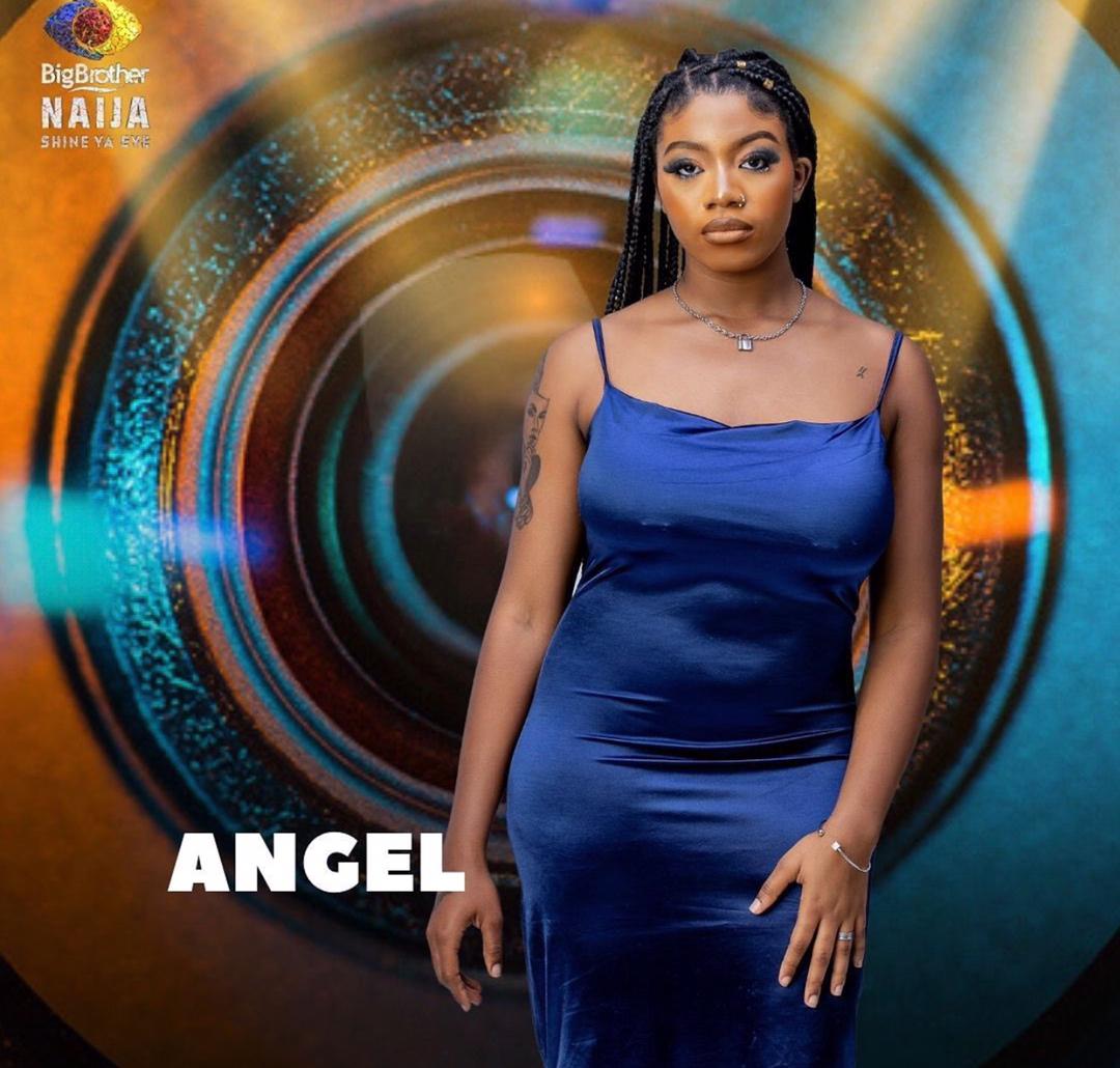 BBN Season 6 housemates: Meet the boss ladies - Vanguard News