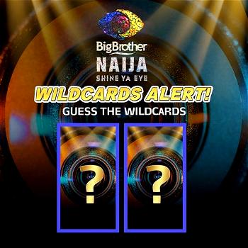 BBNaija 2021: Who are wild cards? Social media predicts
