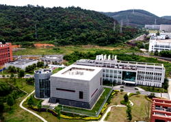 Wuhan lab leak claim goes against science – Official