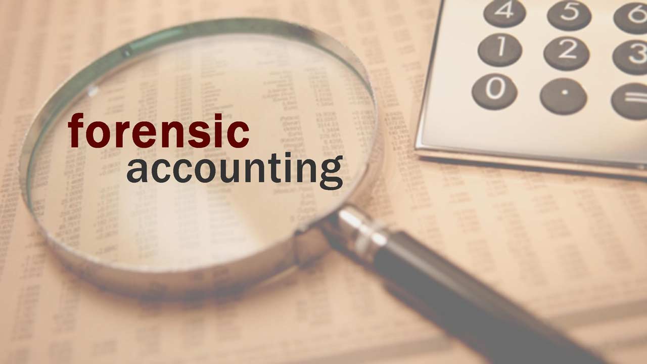 Group to Auditor-General: Forensic bill is a child of necessity, don’t sabotage it