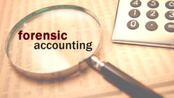Group to Auditor-General: Forensic bill is a child of necessity, don’t sabotage it