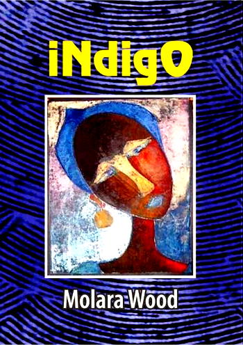 A Review of Molara Wood’s Indigo