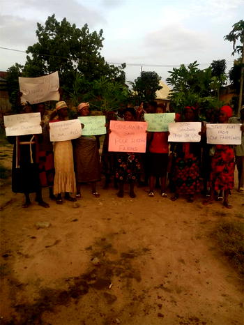Enugu farmers protest destruction of farms worth millions