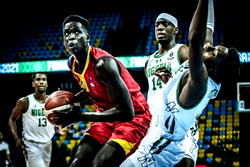 AFROBASKET: D’Tigers crash out after Uganda defeat