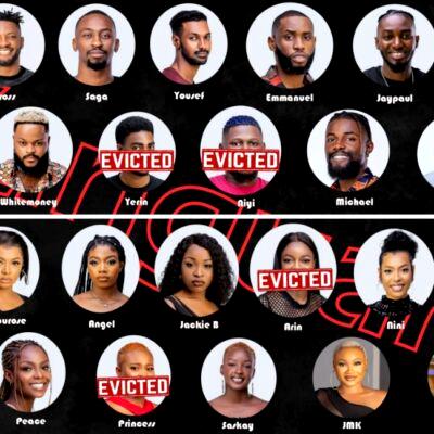 Beyond the Obscenity: The other side of Big Brother Naija