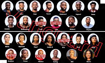 Beyond the Obscenity: The other side of Big Brother Naija