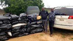 Raids: NDLEA recovers 8,268kg of cocaine, heroin