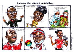 Who is Safe? (cartoon)