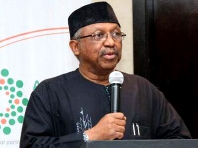 Nigeria has about 25% of all NTDs in Africa, says Ehanire